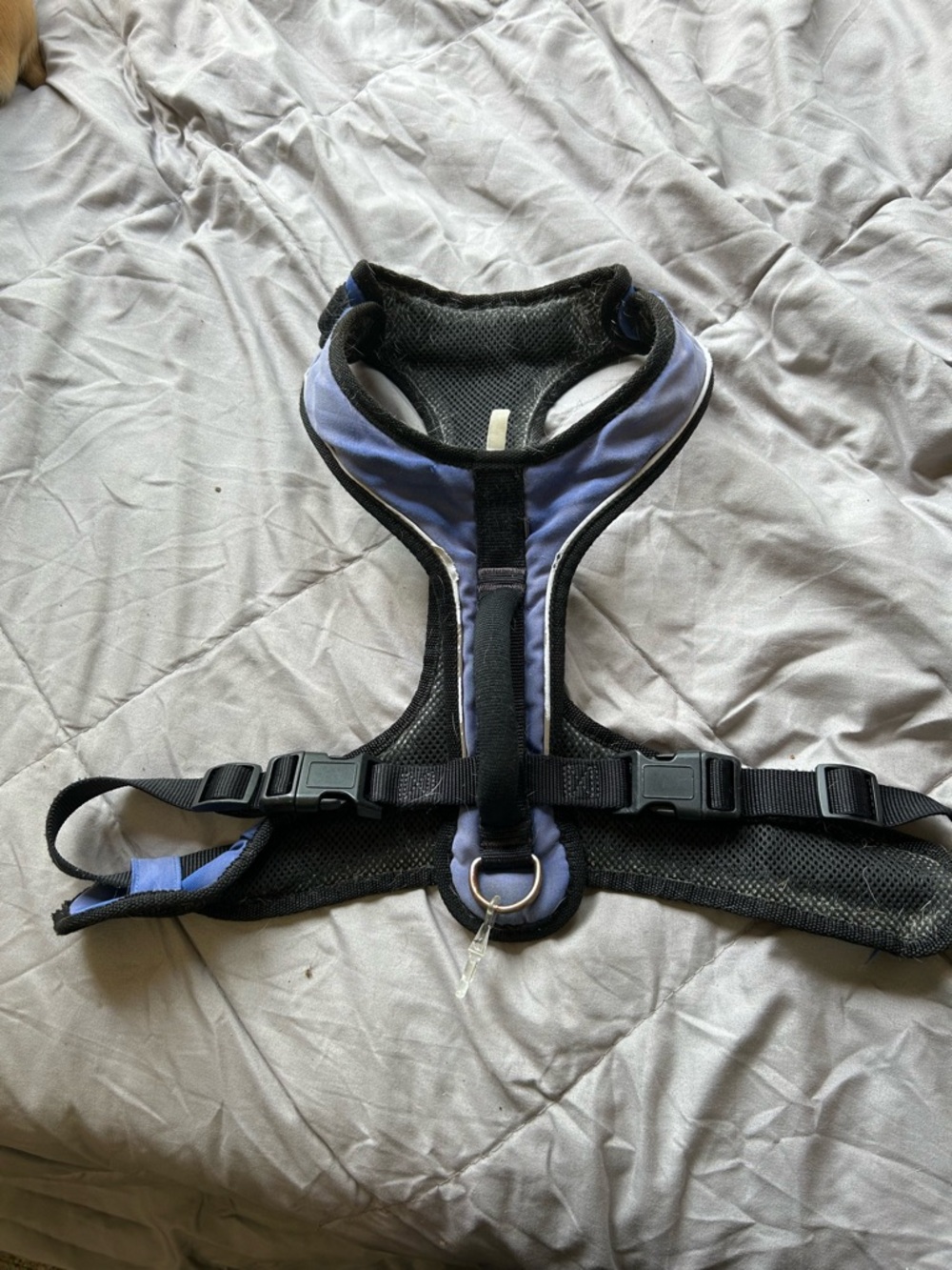 Padded Large Blue and Black No-Pull Dog Harness